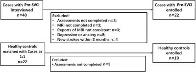 The Associations Between White Matter Disruptions and Cognitive Decline at the Early Stage of Subcortical Vascular Cognitive Impairment: A Case–Control Study